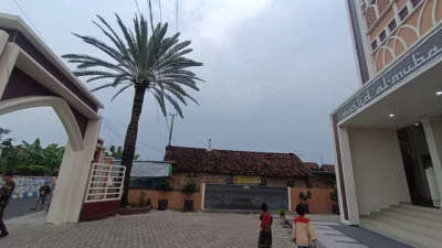 Kurma Muda Masjid Al Mubarok Mojokerto Diburu untuk Promil, Warga Datang dari Luar Kota